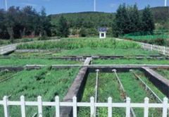 亚搏电子竞技（中国）有限公司